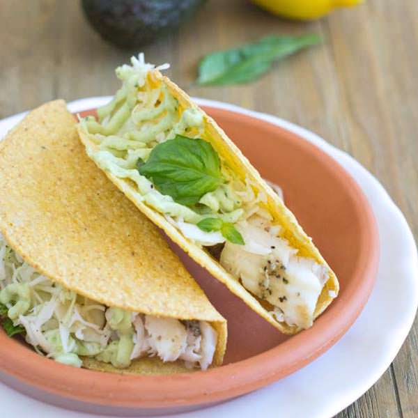 Tilapia and lettuce in hard taco shells on a plate.