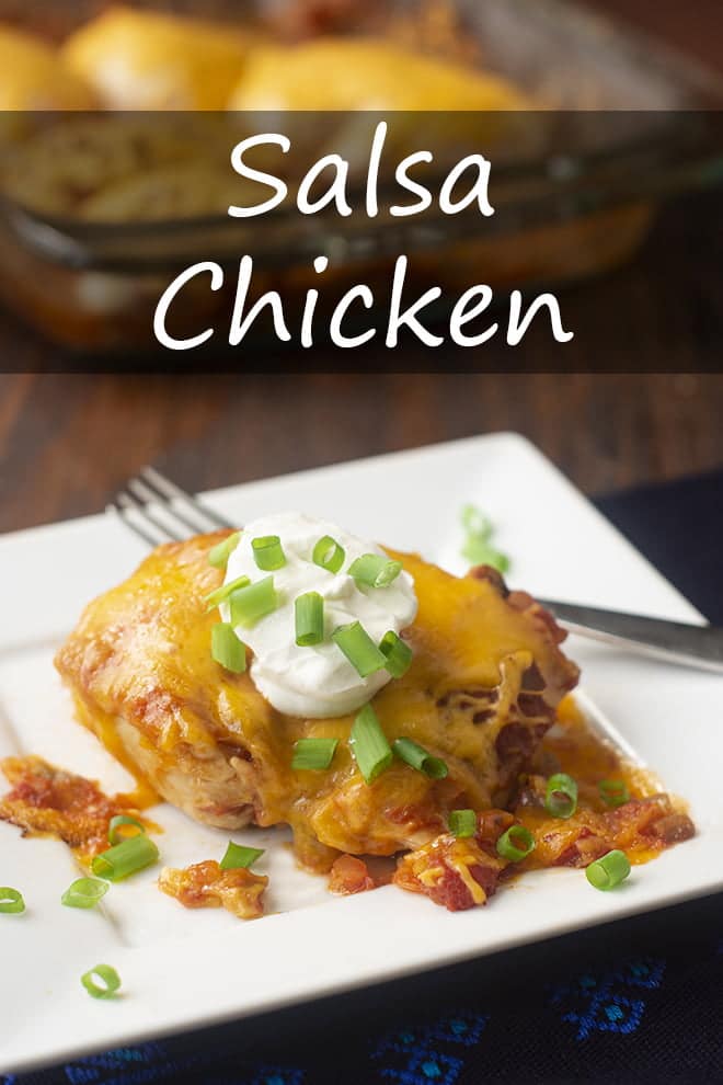 Salsa Chicken