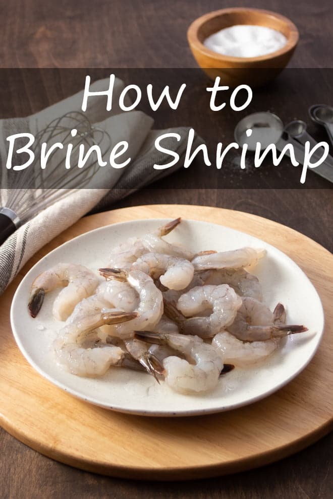 How to Brine Shrimp