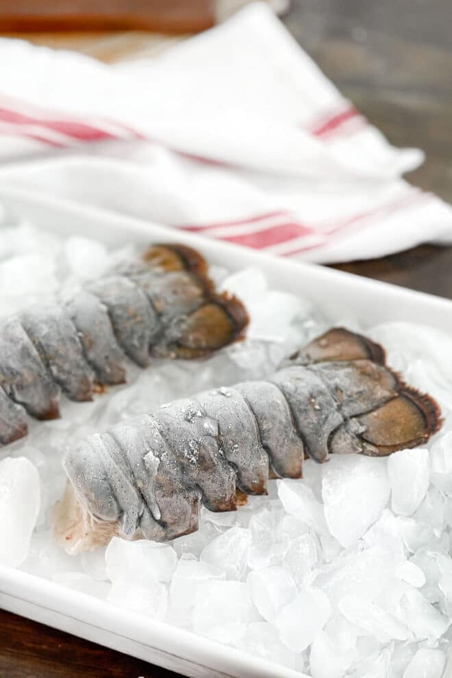 Two frozen lobster tails on ice.