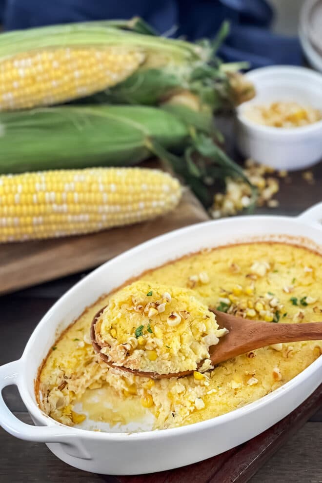 Corn pudding in white casserole dish with spoon, fresh ears of corn in background.
