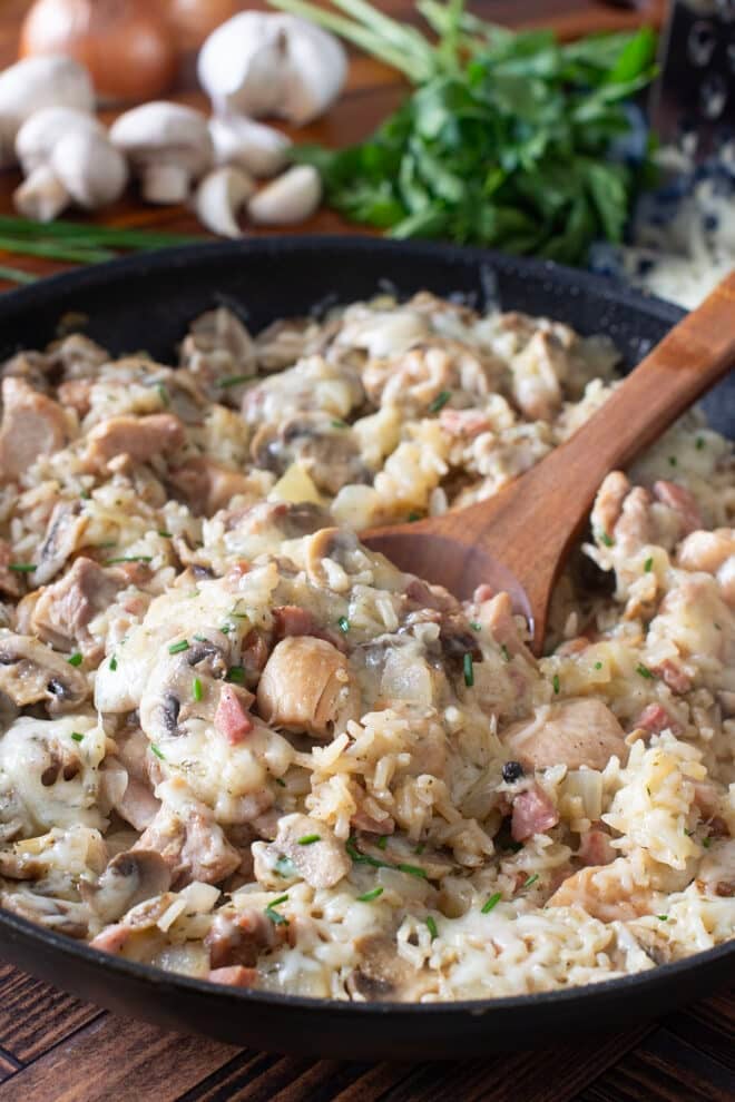 Pan of chicken and rice with mushrooms and melty Swiss cheese.