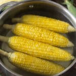 Four ears of corn in a large pot of water.