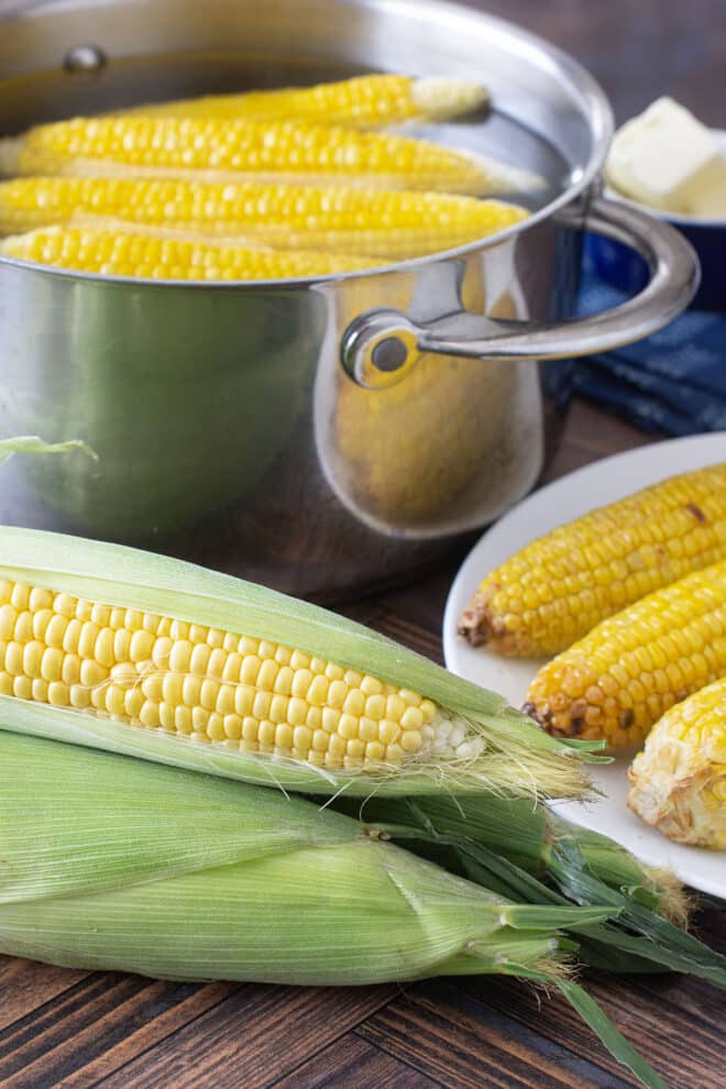 Corn on the cob in husks, cooked and plated, and in a pot of water.